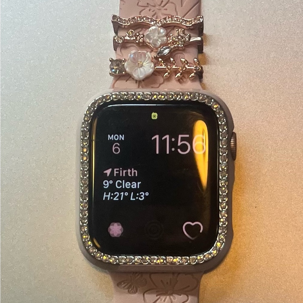 Apple Watch Series 4: 44 MM